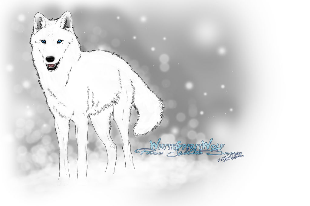 Pure White Wolf Drawing by MouseRose on DeviantArt