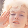 Marilyn Monroe: Last Salute