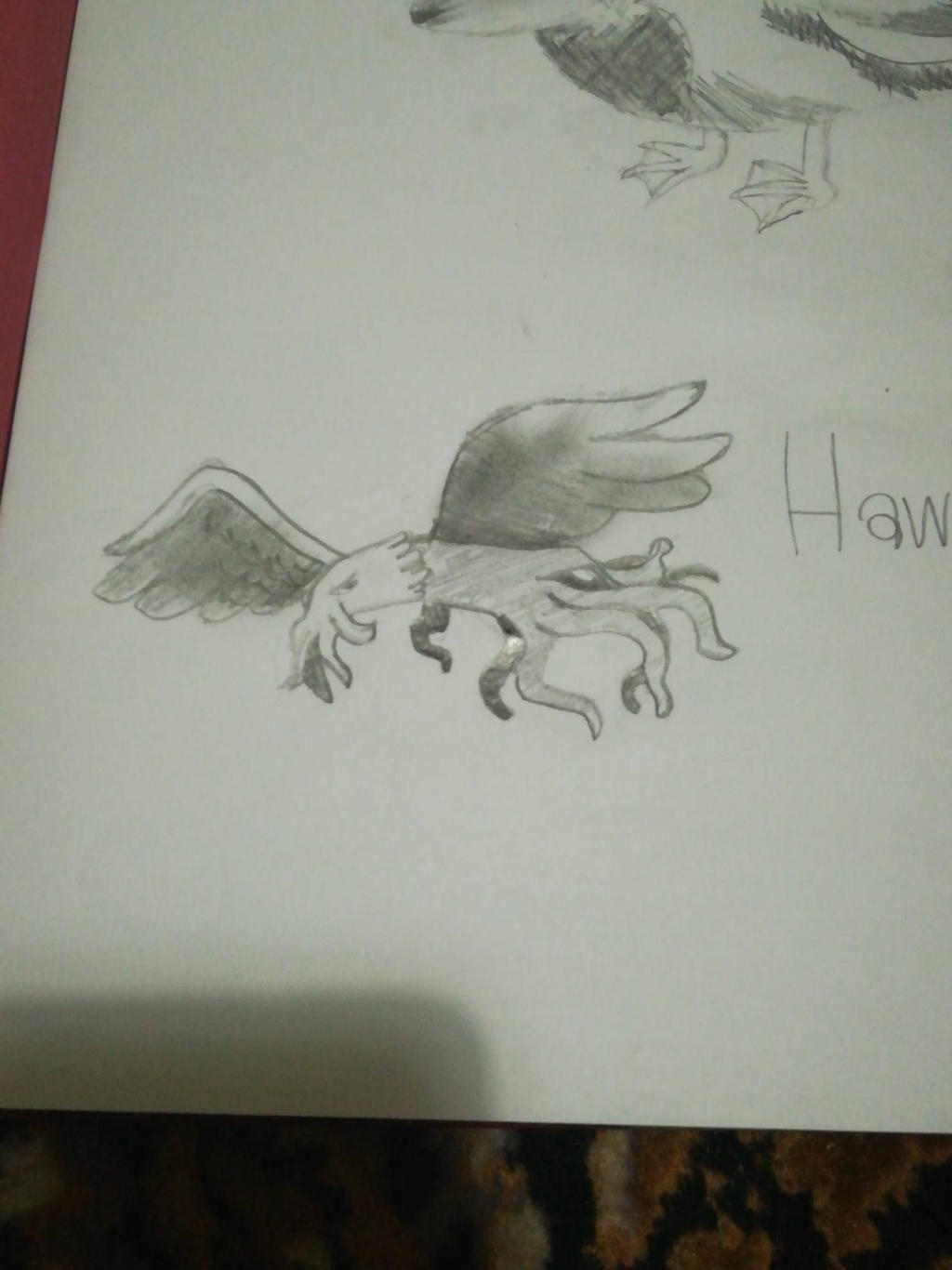 Hawktopus by TudorVanilla on DeviantArt