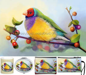 Lady Gouldian finch