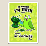 St. Patrick's day parrot magnet