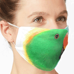 Eclectus Parrot Realistic Painting Mask