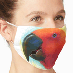 Eclectus Parrot Realistic Painting Mask