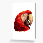 Scarlet Macaw Parrot Realistic Painting Greeting Card