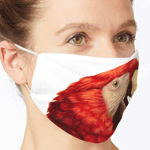 Scarlet Macaw Parrot Realistic Painting Mask