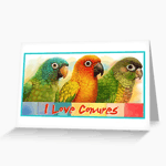 Sun Blue-Crowned Green-Cheeked Conures Realistic Painting Bird Gifts Greeting Card