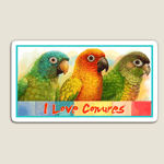 Click here to buy this Sun Blue-Crowned Green-Cheeked Conures Realistic Painting Bird Gifts Magnet! Sun Blue-Crowned Green-Cheeked Conures Realistic Painting Bird Gifts Magnet