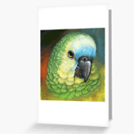 Blue Fronted Amazon Parrot Realistic Painting Greeting Card