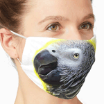 Click here to buy this African Grey Parrot Realistic Painting T-Shirt! African Grey Parrot Realistic Painting T-Shirt