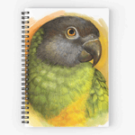Click here to buy this Senegal Parrot Realistic Painting Notebook! Senegal Parrot Realistic Painting Notebook