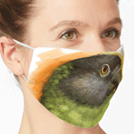 Senegal Parrot Realistic Painting Mask