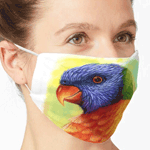 Rainbow Lorikeet Realistic Painting Mask