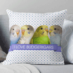 I Love Budgerigars Realistic Painting Pillow