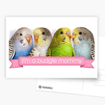 I'm A Budgie Mommy Realistic Painting Postcard