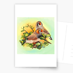 Zebra Finches Realistic Painting Postcard