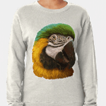 Click here to buy this Blue and Gold Macaw Realistic Painting Sweatshirt! Blue and Gold Macaw Realistic Painting Sweatshirt