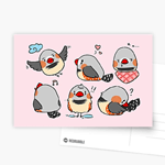 Zebra finch cute cartoon pink chekered pattern Postcard