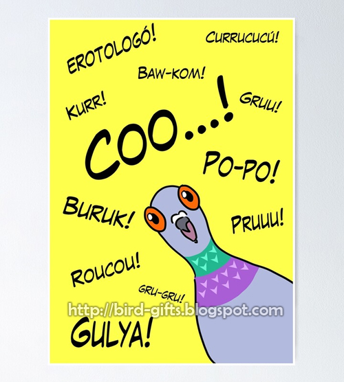 Pigeon sounds in different languages Poster