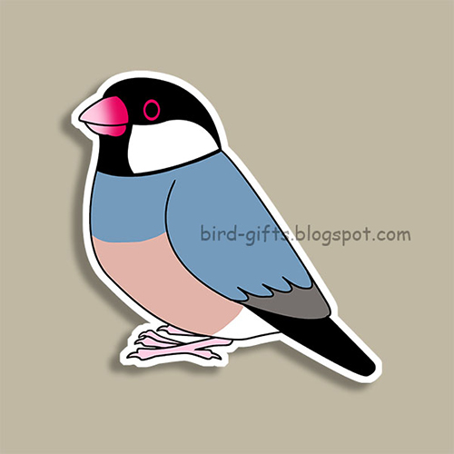 Java sparrow cartoon drawing Magnet