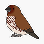 Click here to buy this Spice finch cartoon drawing Sticker! Spice finch cartoon drawing Sticker