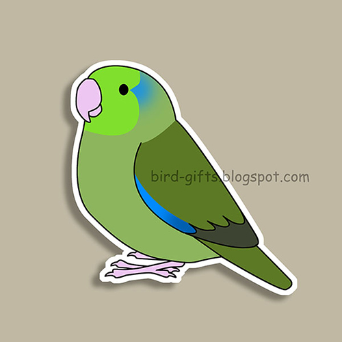 Cute fluffy wild green pacific parrotlet cartoon drawing Magnet