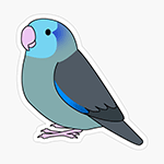 Cute fluffy blue pacific parrotlet cartoon drawing Sticker