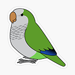 Cute fluffy wild green quaker parrot cartoon drawing Sticker