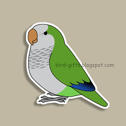 Cute fluffy wild green quaker parrot cartoon drawing Magnet