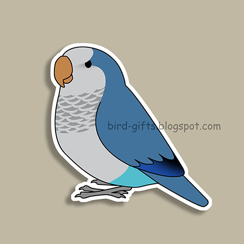 Cute fluffy blue quaker parrot cartoon drawing Magnet