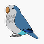 Cute fluffy blue quaker parrot cartoon drawing Sticker