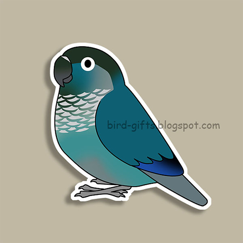 Cute fluffy blue green-cheeked conure parrot cartoon drawing Magnet