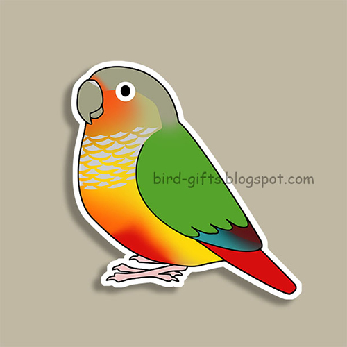 Cute fluffy pineapple green-cheeked conure parrot cartoon drawing Magnet