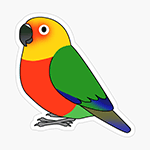 Cute fluffy jenday conure parrot cartoon drawing Sticker