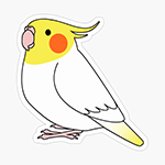 Cute fluffy white lutino cockatiel parrot cartoon drawing Sticker