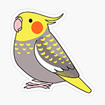 Cute fluffy cinnamon pearl cockatiel parrot cartoon drawing Sticker