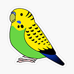 Cute fluffy green budgie parakeet parrot cartoon drawing Sticker