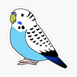 Cute fluffy blue budgie parakeet parrot cartoon drawing Sticker