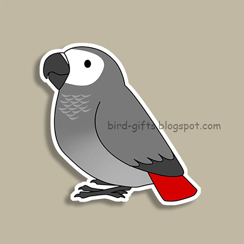 Cute fluffy congo african grey parrot cartoon drawing Magnet