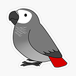 Cute fluffy congo african grey parrot cartoon drawing Sticker