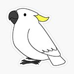 Cute fluffy sulphur crested cockatoo parrot cartoon drawing Sticker