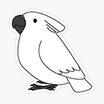 Cute fluffy umbrella cockatoo parrot cartoon drawing Sticker