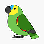 Cute fluffy blue-fronted amazon parrot cartoon drawing Sticker