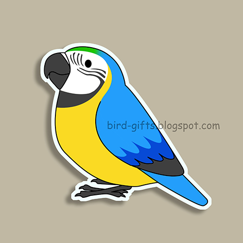 Cute fluffy blue and gold macaw parrot cartoon drawing Magnet