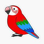 Cute fluffy red and green winged macaw parrot cartoon drawing Sticker