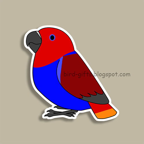 Cute fluffy female red eclectus parrot cartoon drawing Magnet