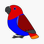 Cute fluffy female red eclectus parrot cartoon drawing Sticker