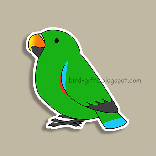 Cute fluffy male green eclectus parrot cartoon drawing Magnet