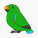 Cute fluffy male green eclectus parrot cartoon drawing Sticker