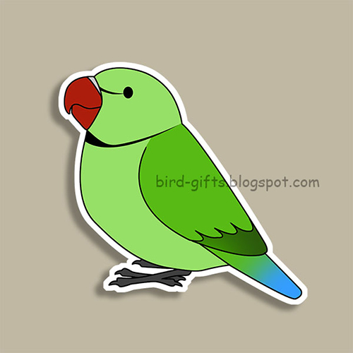 Cute fluffy wild green indian ring-necked parrot cartoon drawing Magnet