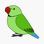 Cute fluffy wild green indian ring-necked parrot cartoon drawing Sticker